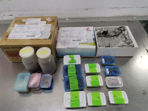 海關嚴查進境郵政快件，搖身一變的日用品驚現(xiàn)活體甲蟲