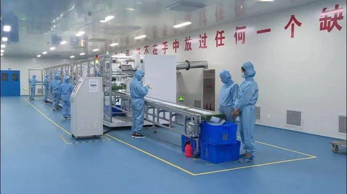 西昌 以農產品研發為引擎，沖刺435億元工業發展目標