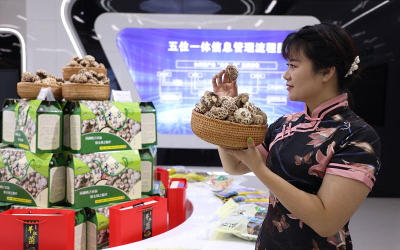 湖北鄖西 五大百億產業集群“頂起”工業經濟，食用農產品研發賦能鄉村振興